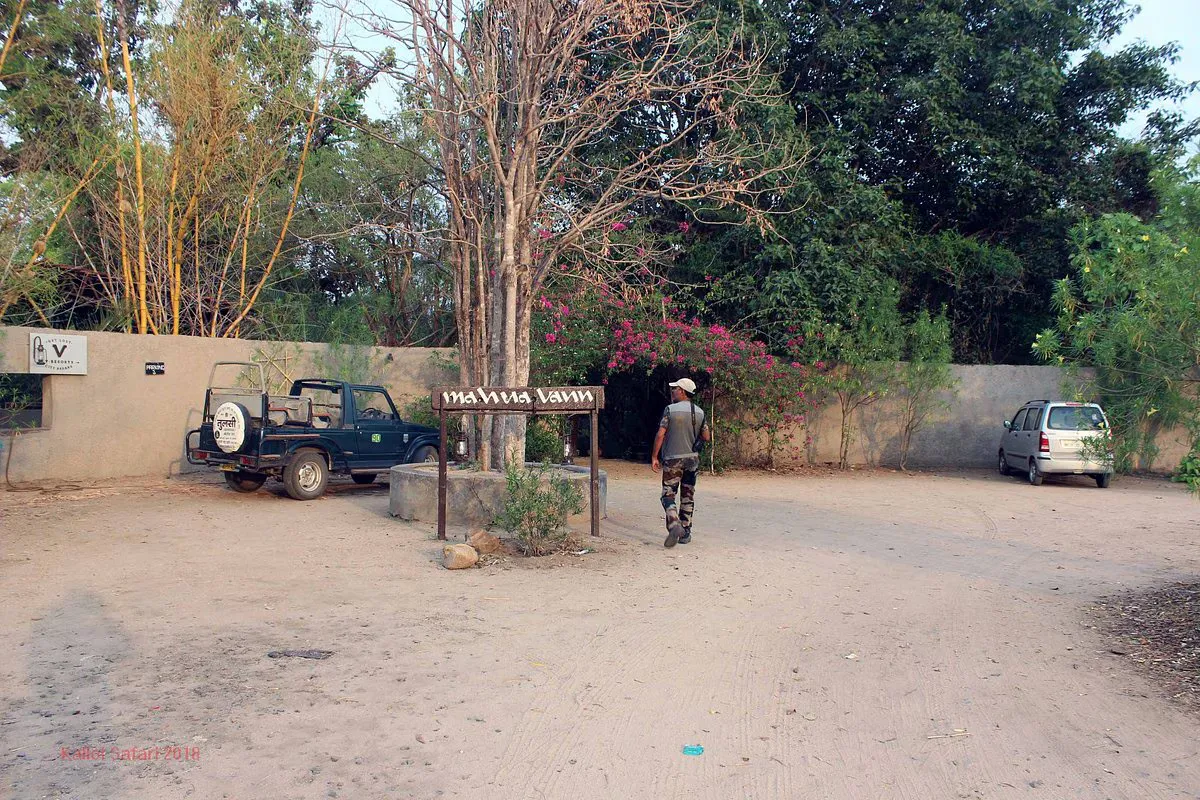 Mahua One - Tranquil Jungle Luxury in Pench National Park